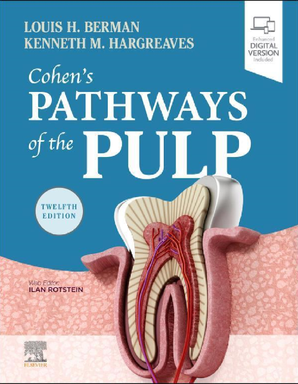 cohens pathways of the pulp 12th edition 651fea5f2f3ad