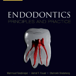 endodontics principles and practice d988db8cd8b1d8a7d8b3d8aa d8b4d8b4d985 651fea772dfa3