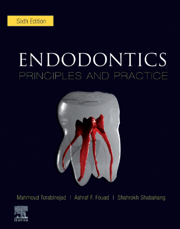 endodontics principles and practice d988db8cd8b1d8a7d8b3d8aa d8b4d8b4d985 651fea772dfa3