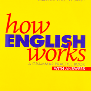 how english works a grammar practice book 651ffa91e5b87