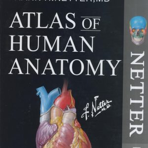 atlas of human anatomy netter 7th edition 65897516f1346