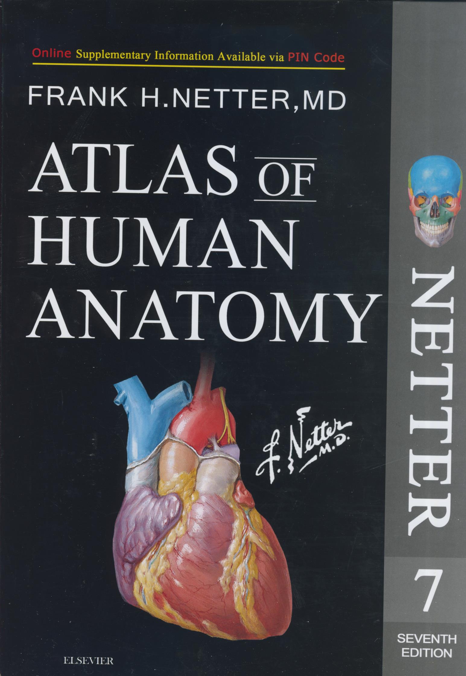 atlas of human anatomy netter 7th edition 65897516f1346