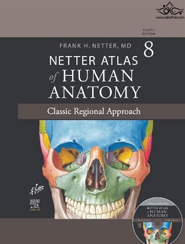 atlas of human anatomy netter daafd984d8a7d8b3d987 d987d985d8b1d8a7d987 d8a8d8a7 d982d8a7d8a8 d988 appendix d988 dvd 658977ddadbc6