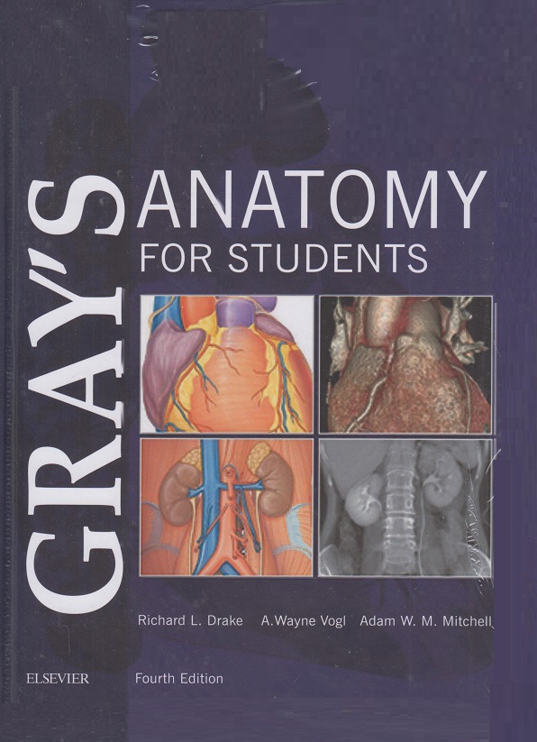 grays anatomy for students 2020 658975a25c782